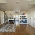 Large And Great Loft In Scenic Surroundings Appartement