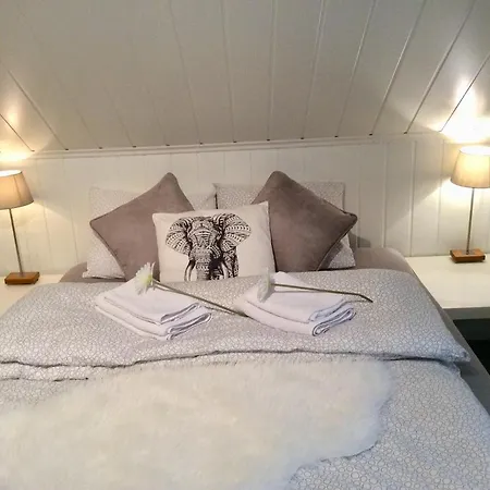 Large And Great Loft In Scenic Surroundings דירה אלטה