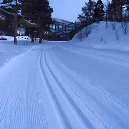 דירה Large And Great Loft In Scenic Surroundings *