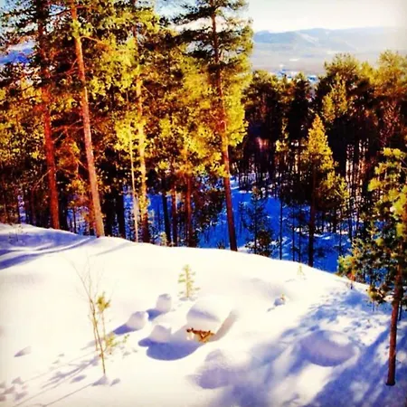 Large And Great Loft In Scenic Surroundings *