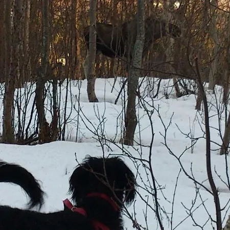 Large And Great Loft In Scenic Surroundings דירה *