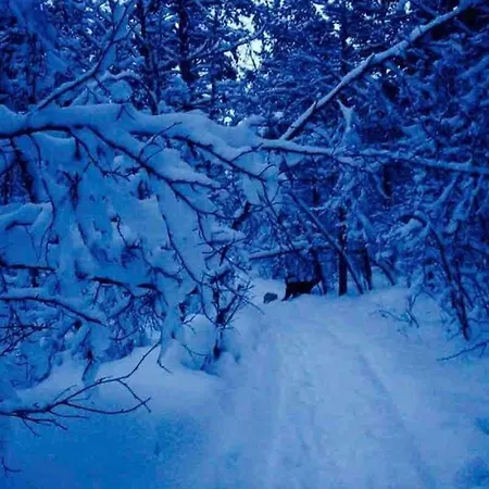 דירה Large And Great Loft In Scenic Surroundings *